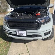 21CactusGrey