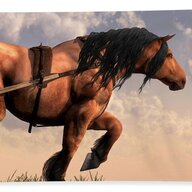 Workhorse