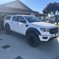 Nico_Dip1