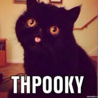 THPOOKYCAT