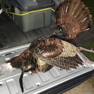 MossyOakNinja78