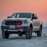 Silverback