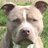 JACKSMYDOG