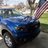 Blue Ox