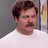 TheDonSwanson